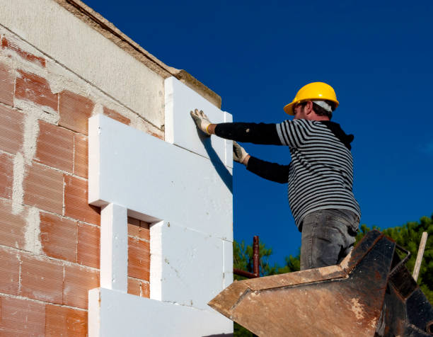 Best Residential Insulation in Abbeville, AL
