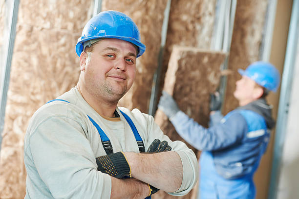 Best Insulation Maintenance and Repair in Abbeville, AL