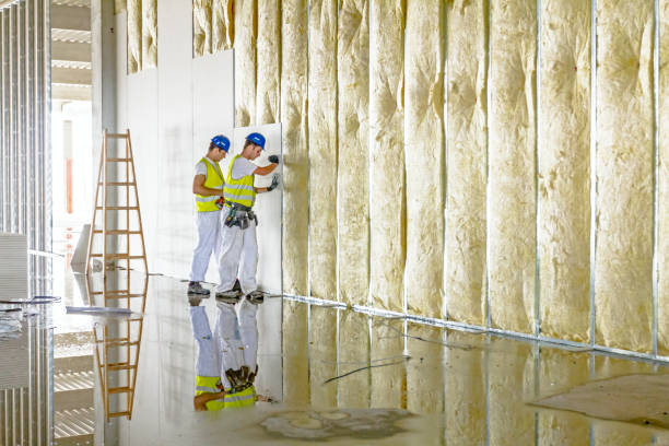Best Commercial Insulation in Abbeville, AL